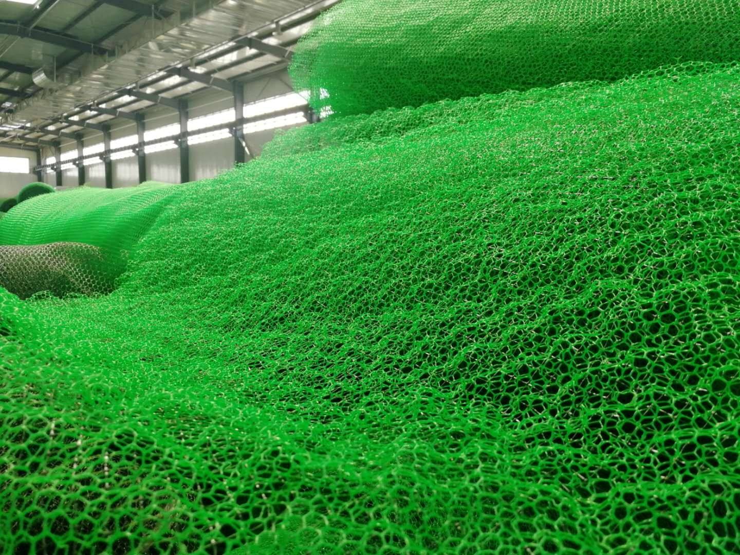 十堰三維植被網 十堰三維土工網墊