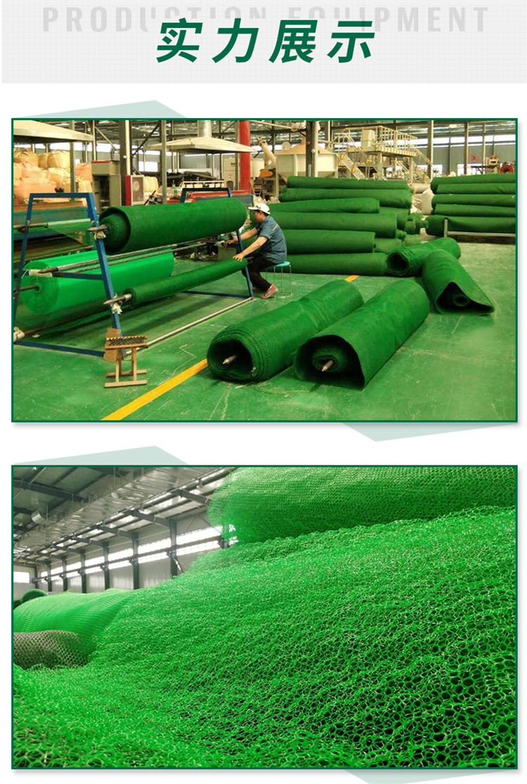 咸寧三維植被網 咸寧em2三維土工網墊