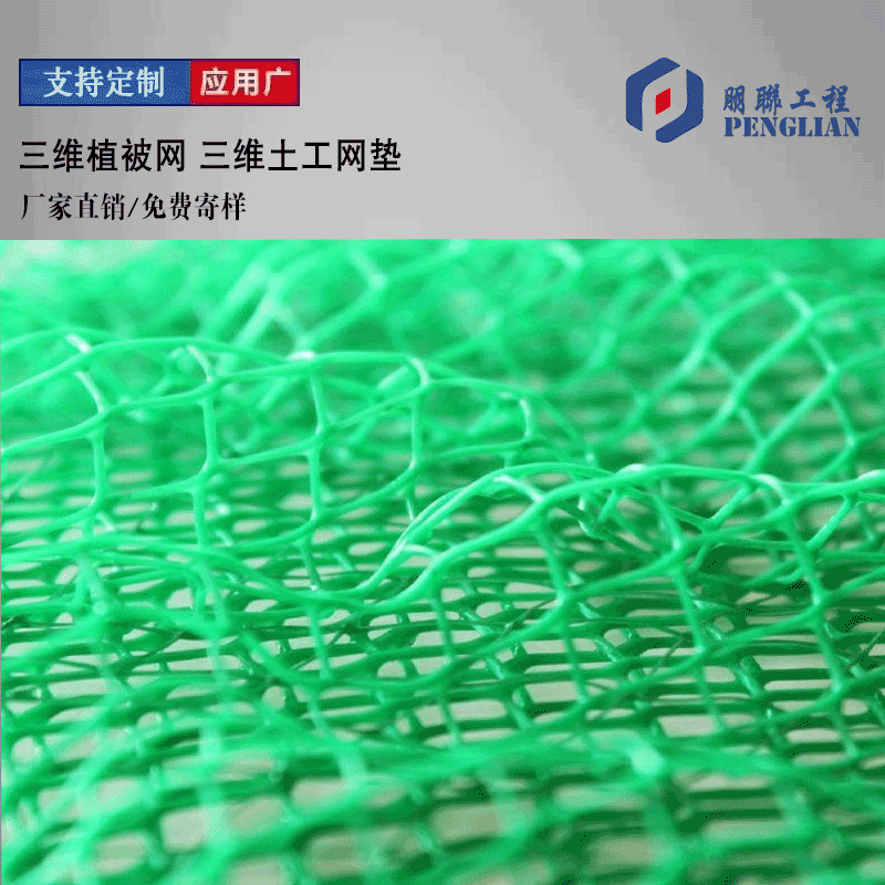 恩施三維植被網(wǎng) 恩施em4三維土工網(wǎng)墊